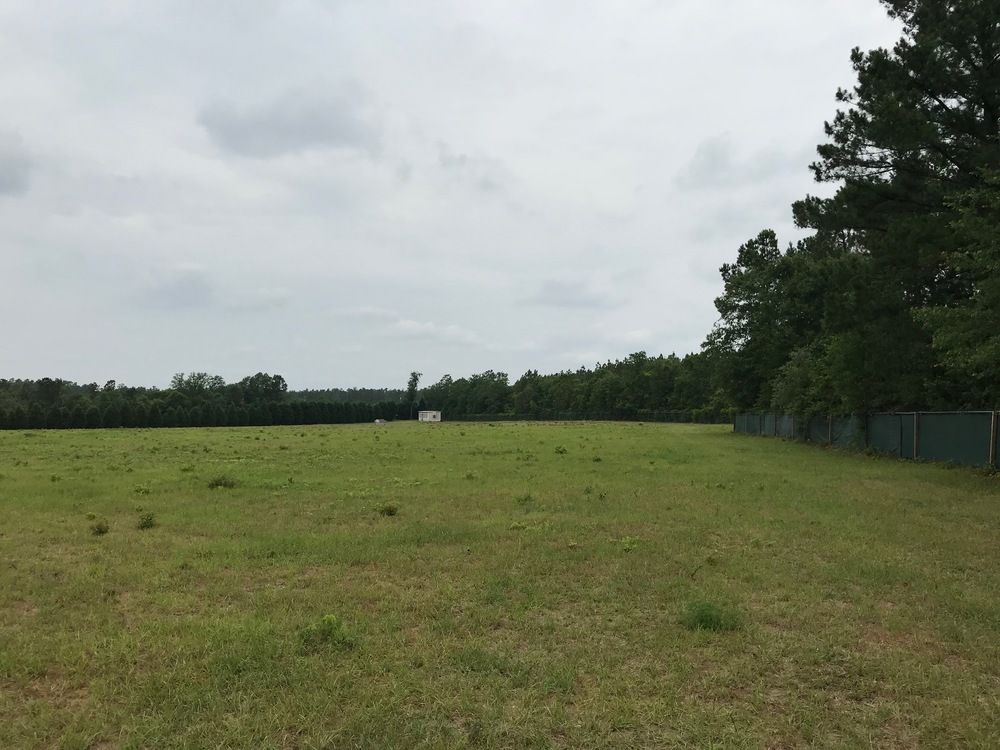 Williston, SC Land - Zoned for Junkyard: 12 SC Highway 39, Williston, SC 29853
